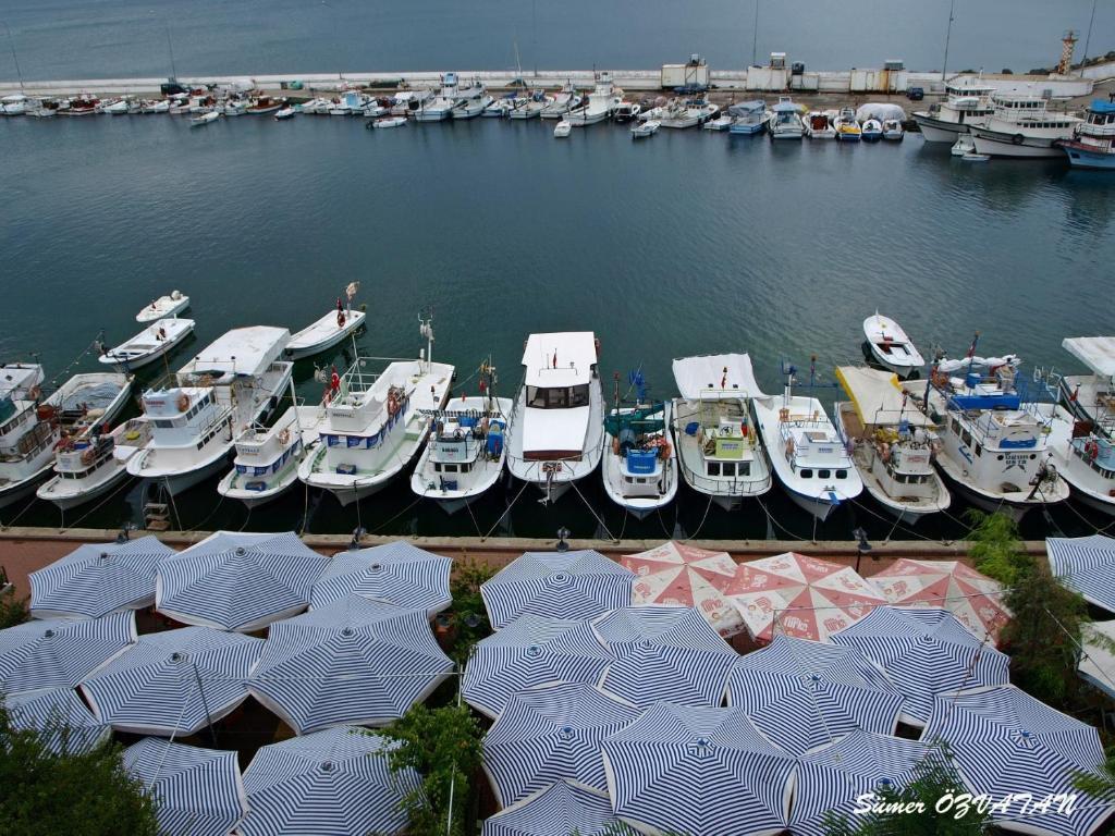 Sinop Mola Hotel المظهر الخارجي الصورة